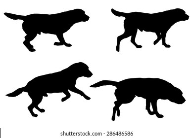 Vector silhouette of a dog on a white background.