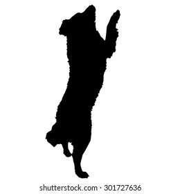 Vector silhouette of a dog on a white background.