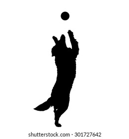 Vector silhouette of a dog on a white background.