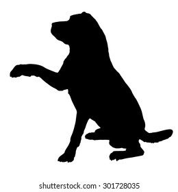 Download Labrador Silhouette Images Stock Photos Vectors Shutterstock