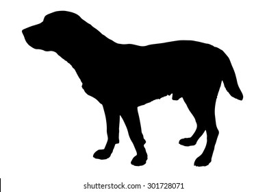 Vector silhouette of a dog on a white background.