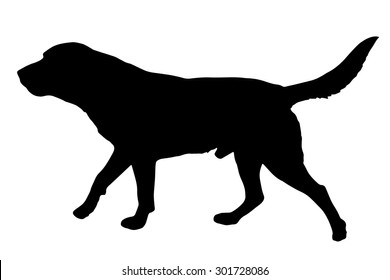 Vector silhouette of a dog on a white background.