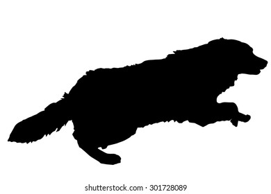 Vector silhouette of a dog on a white background.