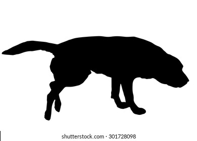 Vector silhouette of a dog on a white background.