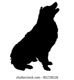Vector silhouette of a dog on a white background.