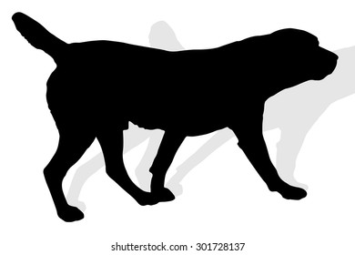Vector silhouette of a dog on a white background.
