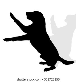 Vector silhouette of a dog on a white background.