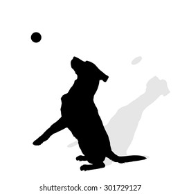 Vector silhouette of a dog on a white background.