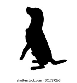 Vector silhouette of a dog on a white background.