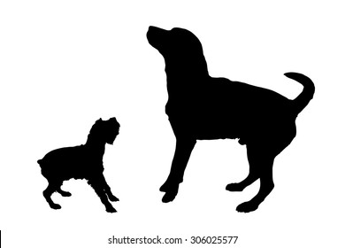 Vector silhouette of a dog on a white background.