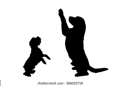 Vector silhouette of a dog on a white background.