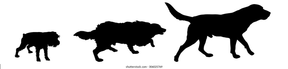 Vector silhouette of a dog on a white background.