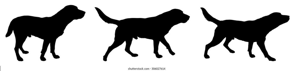 Vector silhouette of a dog on a white background.