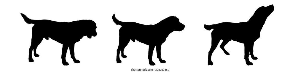 Vector silhouette of a dog on a white background.