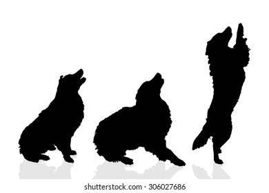Vector silhouette of a dog on a white background.