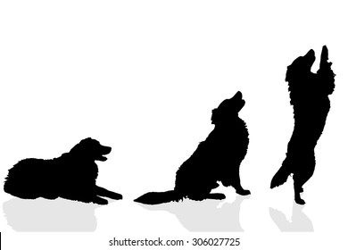 Vector silhouette of a dog on a white background.