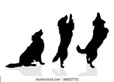 Vector silhouette of a dog on a white background.