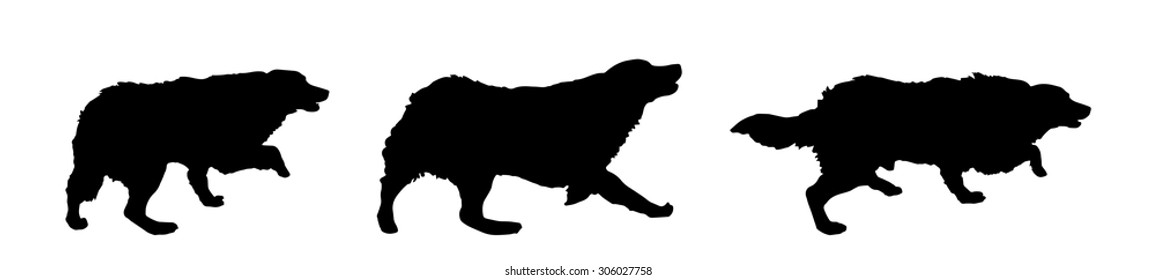 Vector silhouette of a dog on a white background.