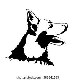 Vector silhouette of a dog on a white background.