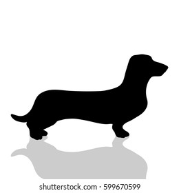 Vector silhouette of dog on white background.