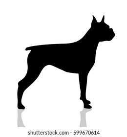 Vector silhouette of dog on white background.