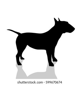 Vector silhouette of dog on white background.