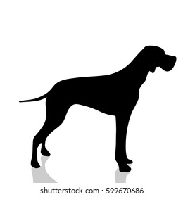 Vector silhouette of dog on white background.