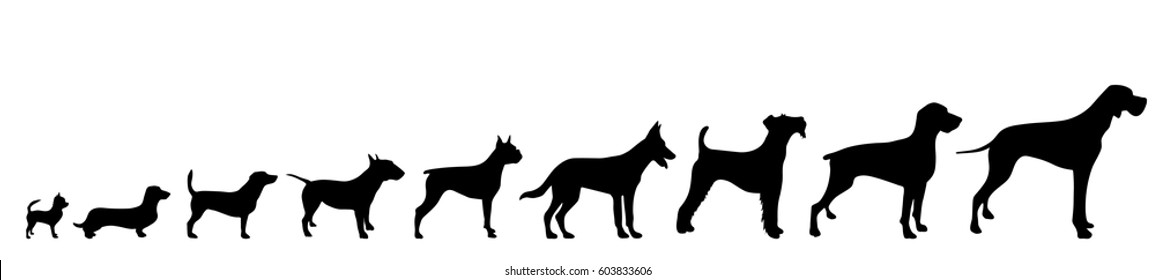 Vector silhouette of dog on white background.