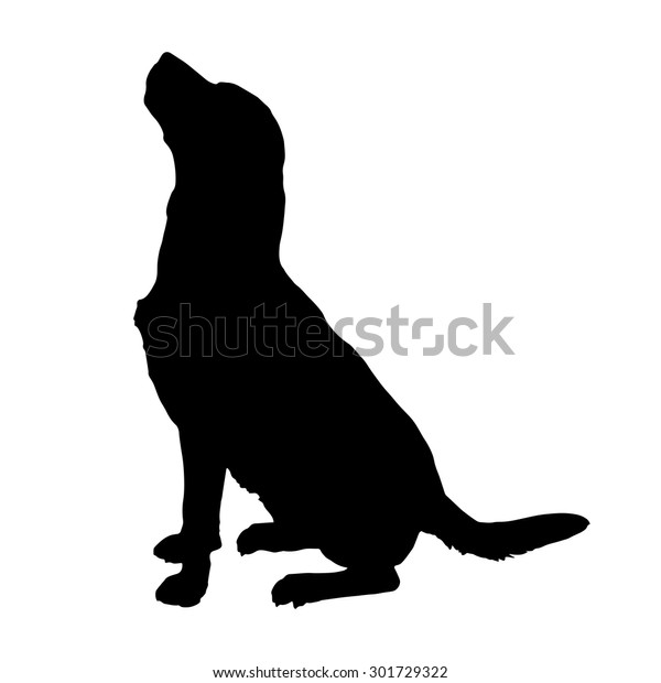 Immagine vettoriale stock 301729322 a tema Silhouette vettoriale di un cane  su (royalty free)