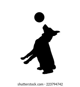 Vector silhouette of a dog playing with a balloon.