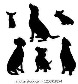 Vector silhouette of dog set on white background.