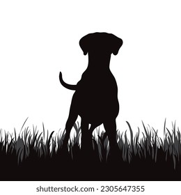 Vector silhouette of dog standing in the grass in park. Symbol of pet.