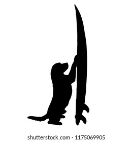 Vector silhouette of dog with surf board on white background.