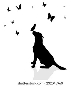 Vector silhouette of a dog surrounded by butterflies.