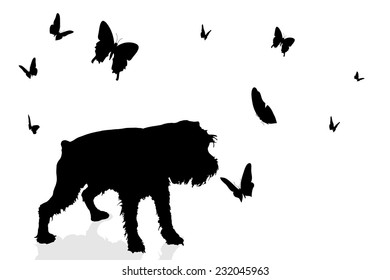 Vector silhouette of a dog surrounded by butterflies.