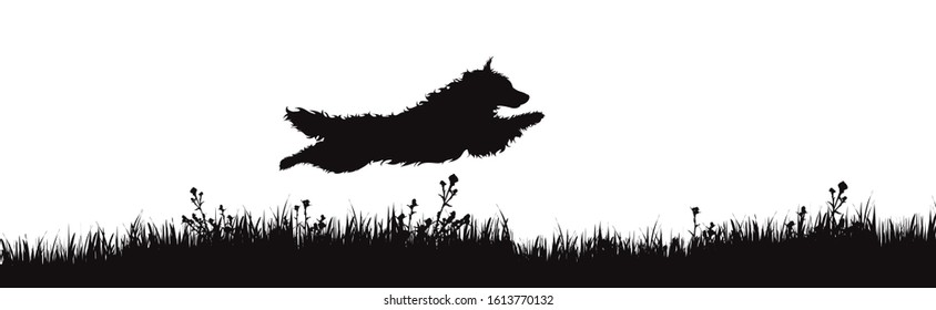 Vector silhouette of dog who jumping the park on white background. Symbol of pet running in the park.