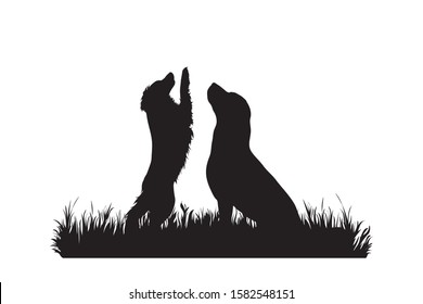 Vector silhouette of dogs in the grass on white background. Symbol of animal, pet, friends, nature, park, garden.