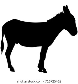 vector silhouette of donkey