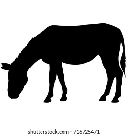 vector silhouette of donkey