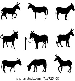 vector silhouette of donkey