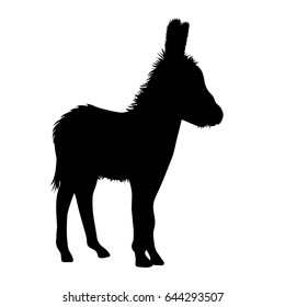 Vector silhouette of donkey on white background.