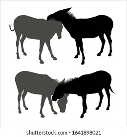 Vector silhouette of donkeys with black and gray stroke on a white background. Donkey's love. Friendship between animals. Head of one donkey touches the head of another donkey.
