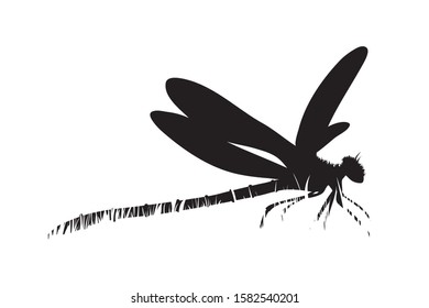 Vector silhouette of dragonfly in the grass on white background. Symbol of animal, insect, wild, nature, park, garden.