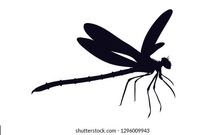 Vector silhouette of dragonfly on white background.