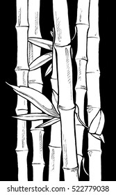 Vector silhouette drawing of bamboo in black and white colors for print, interiors design, textile or tattoo