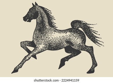 Vector silhouette drawing of horse. Template for design. Line art animal collection.