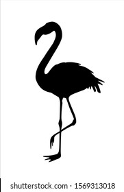 Vector silhouette drawing illustration of beautiful black standing on one leg flamingo bird isolated on white background.Summer design for t shirt print.Artistic stencil element for decoration.