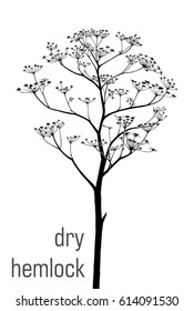Silueta vectorial de la planta de hembra seca