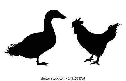 Vector silhouette of duck and hen. Symbol of poultry. Farm life.