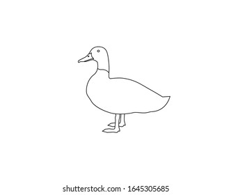 Vector silhouette of a duck. Linear modern drawing isolated on white background. For packaging, logo or icon design